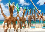Kreta op het gemak foto 20
