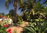 La Palma Jardin foto 10