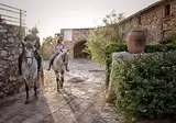 Sa Bassa Rotja Ecoturisme foto 21