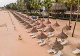 Hôtel Palm Beach foto 29