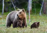 18-daagse rondreis Spectaculair West-Canada foto 2