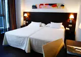 Sercotel Hotel Plana Parc foto 6