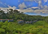 Rainforest Eco Lodge foto 16