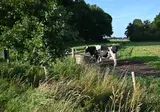Camping Hunze Bulten foto 6