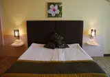 Hotel Gergana foto 20
