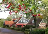 Hotel Restaurant Het Ros van Twente foto 1