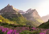 Experience the pristine Northwest foto 1