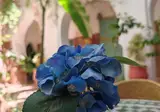 Hotel Riad Dar Bounouar foto 30
