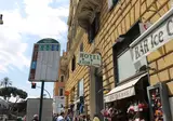 Fiori foto 4