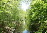 Recreatiepark de Bosrand foto 13