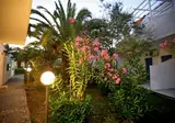 Aegeon Hotel foto 29
