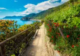 Ontdek Toscane en Cinque Terre foto 11