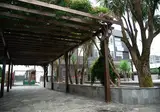 Los Olmos Hotel foto 5