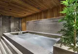 Doubletree by Hilton Hotel Istanbul Piyalepas foto 13