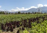 Kreta op het gemak foto 6