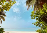 Cocoon Maldives foto 4