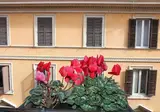 Hotel Garda Rome foto 17