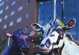 WestCord Art Hotel Amsterdam 3-stars foto 7