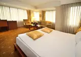 Cartoon Hotel foto 26