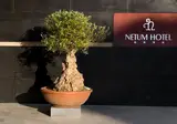 Hotel Netum foto 11