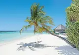 Vilamendhoo Island Resort & Spa foto 13