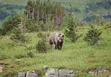 Ontdek Alaska foto 13