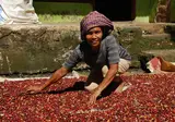 Ontdek Noord-Sumatra en relax op Bali foto 18