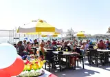 Febeach foto 29
