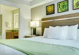 Desert Rose Resort foto 5