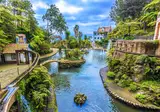 Mooi Madeira foto 7