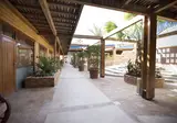Lido Sharm Hotel foto 19