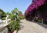 S'Alphio Garden Hotel & Spa foto 15