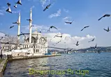 Gülhanepark foto 24