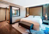 Sheraton Grand Tbilisi Metechi Palace foto 22