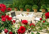 Hotel Rural Son Palou foto 20