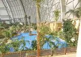 Tropical Islands foto 14