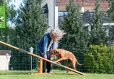 Der Wolfshof foto 11