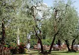 Villa Cappugi foto 9