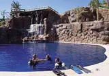 Sheraton Sharm Hotel, Resort, Villas & Spa foto 5