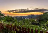 Finca Natura Canaria foto 4