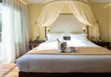 Halepa Hotel foto 14