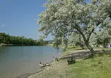 Knaus Campingpark Bad Dürkheim foto 12