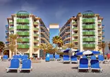 Kaktus Albir foto 10