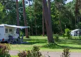 Oostappen Vakantiepark Boschbeek foto 3