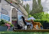 Camping Naturist Berény foto 6