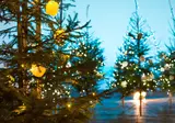 Kerst en Oud en Nieuw in Kroatië foto 22