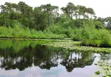 Landgoed de Rosep foto 41