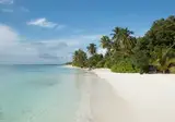 Canareef Resort Maldives foto 3