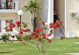 Appartementen Sunset Suites foto 7