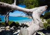 Pascalounet foto 12